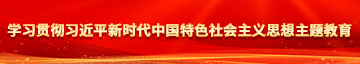 美女被操大臭逼学习贯彻习近平新时代中国特色社会主义思想主题教育